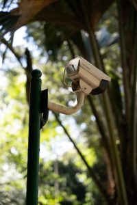 Security camera mounted on a pole amidst lush outdoor foliage.