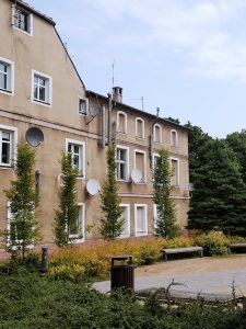 Sunny urban courtyard with trees and historic building facade, perfect for peaceful moments.